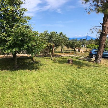 Athos View Villa By The Sea Ormos Panagias Exteriör bild