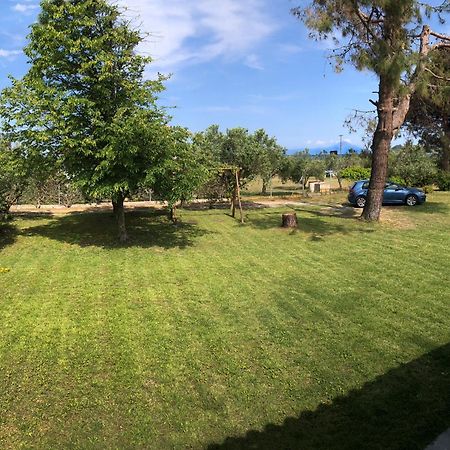 Athos View Villa By The Sea Ormos Panagias Exteriör bild