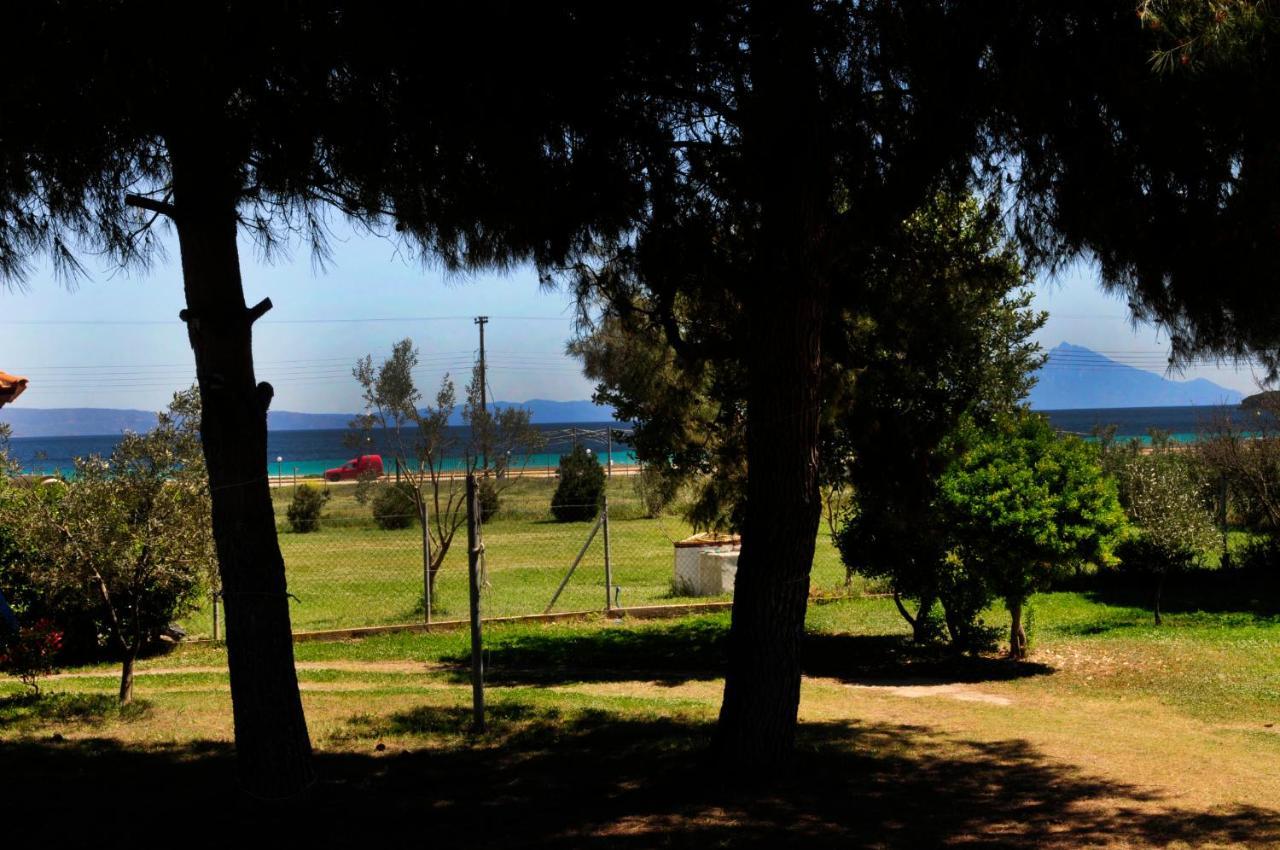 Athos View Villa By The Sea Ormos Panagias Exteriör bild